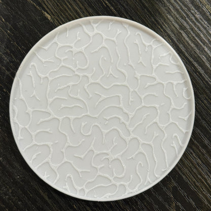 3-in-1 PETG Spiral Ashtray: Coaster Lid, Stash Box